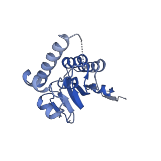 23000_7kr2_H_v1-0
ClpP from Neisseria meningitidis - Compressed conformation