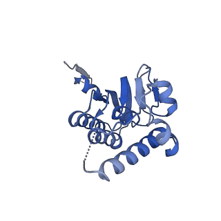 23000_7kr2_L_v1-0
ClpP from Neisseria meningitidis - Compressed conformation