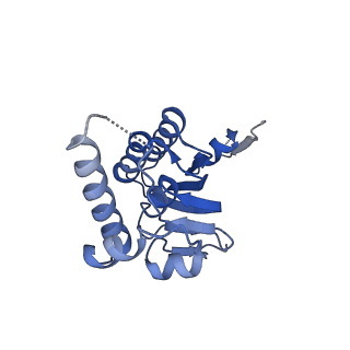 23000_7kr2_N_v1-0
ClpP from Neisseria meningitidis - Compressed conformation