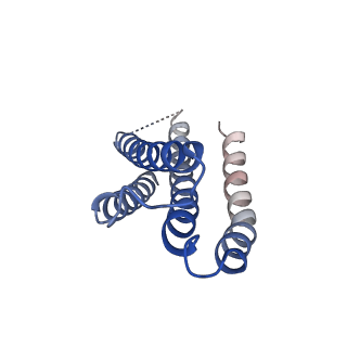 23002_7kr5_B_v1-0
Cryo-EM structure of the CRAC channel Orai in an open conformation; H206A gain-of-function mutation in complex with an antibody