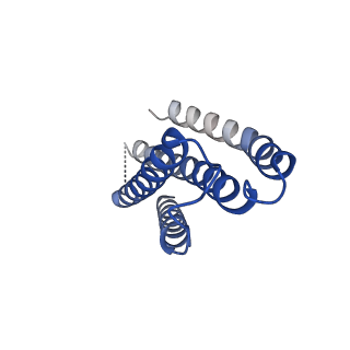 23002_7kr5_C_v1-0
Cryo-EM structure of the CRAC channel Orai in an open conformation; H206A gain-of-function mutation in complex with an antibody