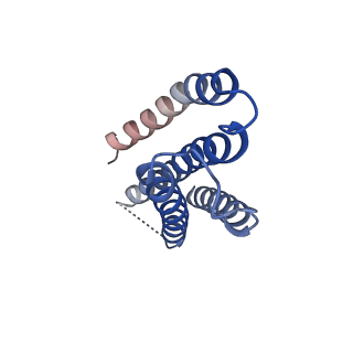 23002_7kr5_D_v1-0
Cryo-EM structure of the CRAC channel Orai in an open conformation; H206A gain-of-function mutation in complex with an antibody