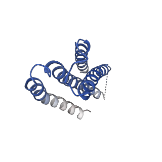 23002_7kr5_F_v1-0
Cryo-EM structure of the CRAC channel Orai in an open conformation; H206A gain-of-function mutation in complex with an antibody