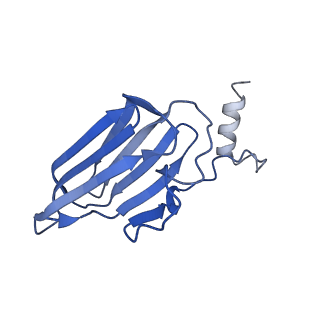 23004_7krj_C_v1-1
The GR-Maturation Complex: Glucocorticoid Receptor in complex with Hsp90 and co-chaperone p23