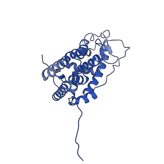 23004_7krj_D_v1-1
The GR-Maturation Complex: Glucocorticoid Receptor in complex with Hsp90 and co-chaperone p23
