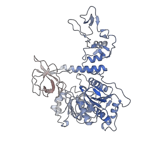 23007_7krn_E_v1-1
Structure of SARS-CoV-2 backtracked complex bound to nsp13 helicase - nsp13(1)-BTC