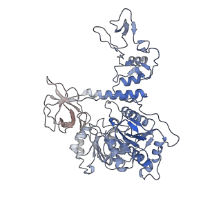 23007_7krn_E_v1-2
Structure of SARS-CoV-2 backtracked complex bound to nsp13 helicase - nsp13(1)-BTC