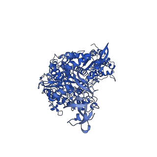 23008_7kro_A_v1-1
Structure of SARS-CoV-2 backtracked complex complex bound to nsp13 helicase - nsp13(2)-BTC