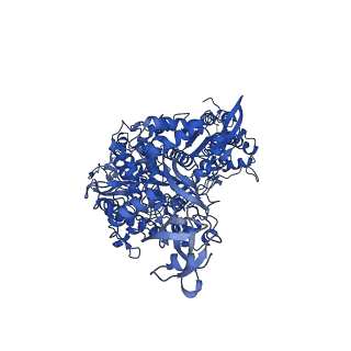 23008_7kro_A_v1-2
Structure of SARS-CoV-2 backtracked complex complex bound to nsp13 helicase - nsp13(2)-BTC