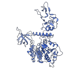 23008_7kro_E_v1-1
Structure of SARS-CoV-2 backtracked complex complex bound to nsp13 helicase - nsp13(2)-BTC