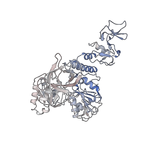 23008_7kro_F_v1-1
Structure of SARS-CoV-2 backtracked complex complex bound to nsp13 helicase - nsp13(2)-BTC