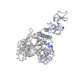 23008_7kro_F_v1-2
Structure of SARS-CoV-2 backtracked complex complex bound to nsp13 helicase - nsp13(2)-BTC