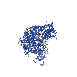23009_7krp_A_v1-1
Structure of SARS-CoV-2 backtracked complex complex bound to nsp13 helicase - BTC (local refinement)