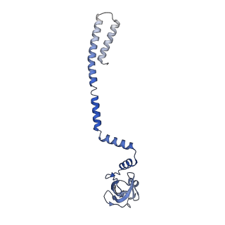 23009_7krp_D_v1-1
Structure of SARS-CoV-2 backtracked complex complex bound to nsp13 helicase - BTC (local refinement)