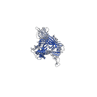 23010_7krq_A_v1-1
Structural impact on SARS-CoV-2 spike protein by D614G substitution