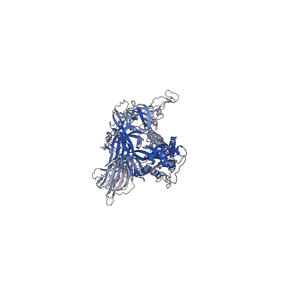 23010_7krq_C_v1-1
Structural impact on SARS-CoV-2 spike protein by D614G substitution