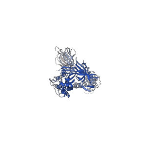 23011_7krr_A_v1-2
Structural impact on SARS-CoV-2 spike protein by D614G substitution