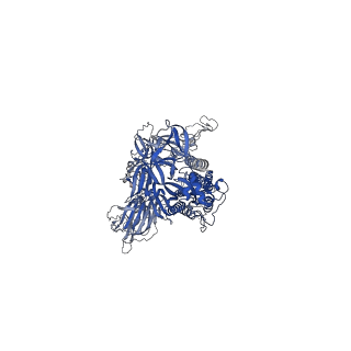 23011_7krr_C_v1-2
Structural impact on SARS-CoV-2 spike protein by D614G substitution