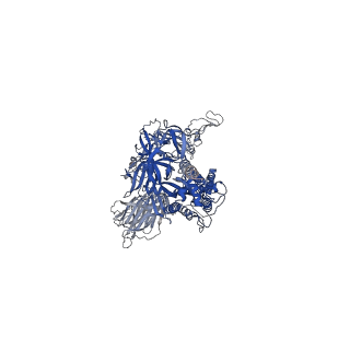 23012_7krs_B_v1-2
Structural impact on SARS-CoV-2 spike protein by D614G substitution