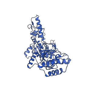 23013_7krz_C_v1-1
Human mitochondrial LONP1 in complex with Bortezomib
