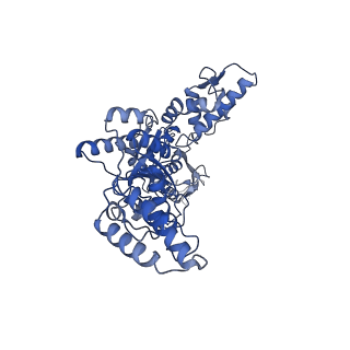 23013_7krz_D_v1-1
Human mitochondrial LONP1 in complex with Bortezomib