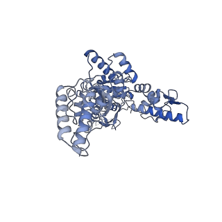 23013_7krz_E_v1-1
Human mitochondrial LONP1 in complex with Bortezomib