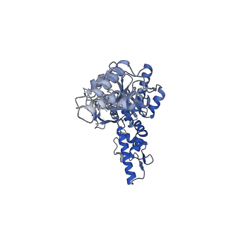 23013_7krz_F_v1-1
Human mitochondrial LONP1 in complex with Bortezomib