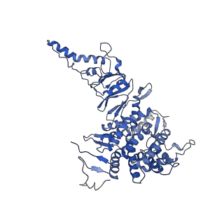 0758_6ks6_A_v1-3
TRiC at 0.2 mM ADP-AlFx, Conformation 1, 0.2-C1