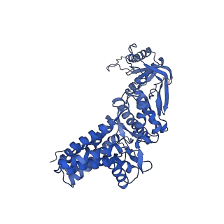 0758_6ks6_B_v1-3
TRiC at 0.2 mM ADP-AlFx, Conformation 1, 0.2-C1