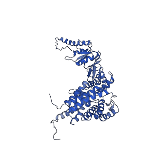 0758_6ks6_D_v1-3
TRiC at 0.2 mM ADP-AlFx, Conformation 1, 0.2-C1