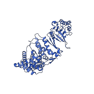 0758_6ks6_E_v1-3
TRiC at 0.2 mM ADP-AlFx, Conformation 1, 0.2-C1