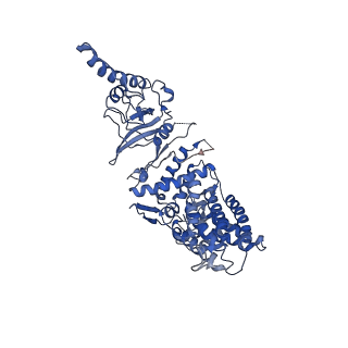 0758_6ks6_G_v1-3
TRiC at 0.2 mM ADP-AlFx, Conformation 1, 0.2-C1