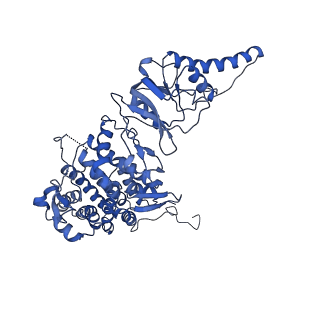 0758_6ks6_H_v1-3
TRiC at 0.2 mM ADP-AlFx, Conformation 1, 0.2-C1