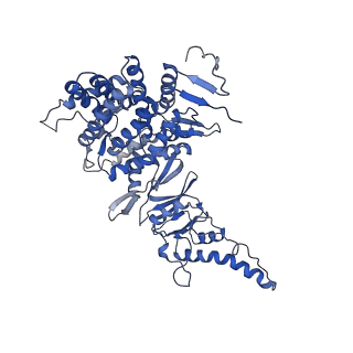 0758_6ks6_a_v1-3
TRiC at 0.2 mM ADP-AlFx, Conformation 1, 0.2-C1