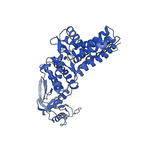 0758_6ks6_b_v1-3
TRiC at 0.2 mM ADP-AlFx, Conformation 1, 0.2-C1