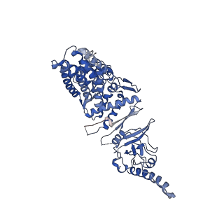 0758_6ks6_g_v1-3
TRiC at 0.2 mM ADP-AlFx, Conformation 1, 0.2-C1