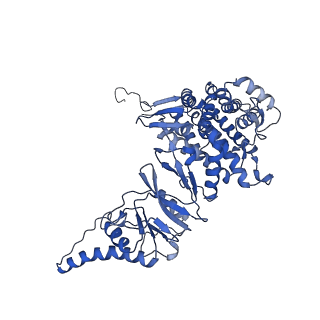 0758_6ks6_h_v1-3
TRiC at 0.2 mM ADP-AlFx, Conformation 1, 0.2-C1