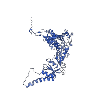 0758_6ks6_q_v1-3
TRiC at 0.2 mM ADP-AlFx, Conformation 1, 0.2-C1