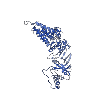 0758_6ks6_z_v1-3
TRiC at 0.2 mM ADP-AlFx, Conformation 1, 0.2-C1