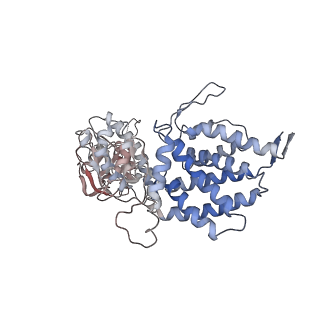 0759_6ks7_A_v1-3
TRiC at 0.1 mM ADP-AlFx, Conformation 1, 0.1-C1