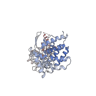 0759_6ks7_D_v1-3
TRiC at 0.1 mM ADP-AlFx, Conformation 1, 0.1-C1