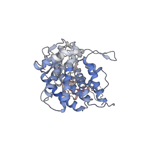 0759_6ks7_G_v1-3
TRiC at 0.1 mM ADP-AlFx, Conformation 1, 0.1-C1