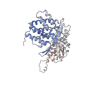 0759_6ks7_H_v1-3
TRiC at 0.1 mM ADP-AlFx, Conformation 1, 0.1-C1