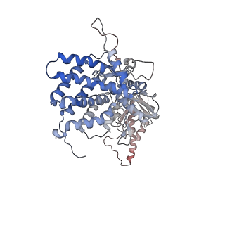 0759_6ks7_Q_v1-3
TRiC at 0.1 mM ADP-AlFx, Conformation 1, 0.1-C1