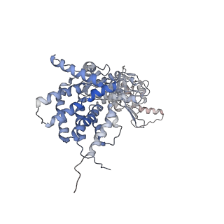 0759_6ks7_Z_v1-3
TRiC at 0.1 mM ADP-AlFx, Conformation 1, 0.1-C1