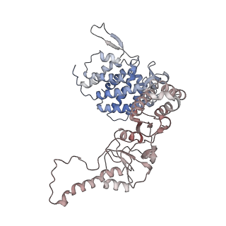 0759_6ks7_b_v1-3
TRiC at 0.1 mM ADP-AlFx, Conformation 1, 0.1-C1