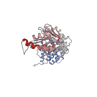 0759_6ks7_d_v1-3
TRiC at 0.1 mM ADP-AlFx, Conformation 1, 0.1-C1