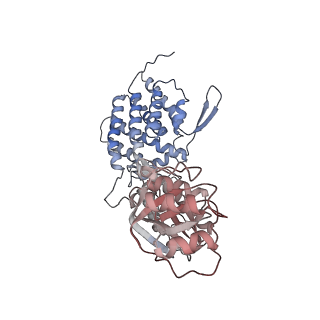 0759_6ks7_h_v1-3
TRiC at 0.1 mM ADP-AlFx, Conformation 1, 0.1-C1