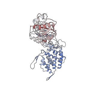 0760_6ks8_A_v1-3
TRiC at 0.1 mM ADP-AlFx, Conformation 4, 0.1-C4