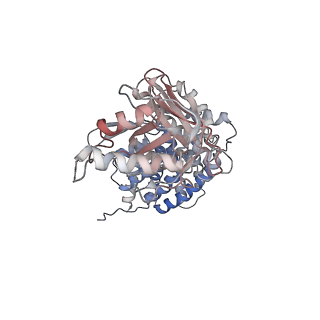 0760_6ks8_D_v1-3
TRiC at 0.1 mM ADP-AlFx, Conformation 4, 0.1-C4